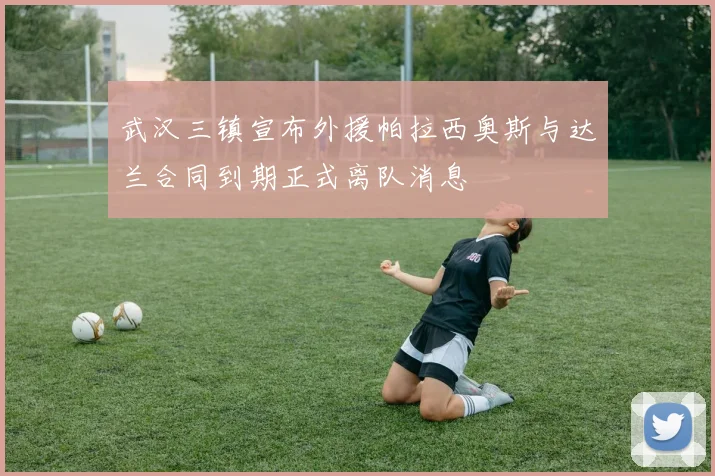 武汉三镇宣布外援帕拉西奥斯与达兰合同到期正式离队消息